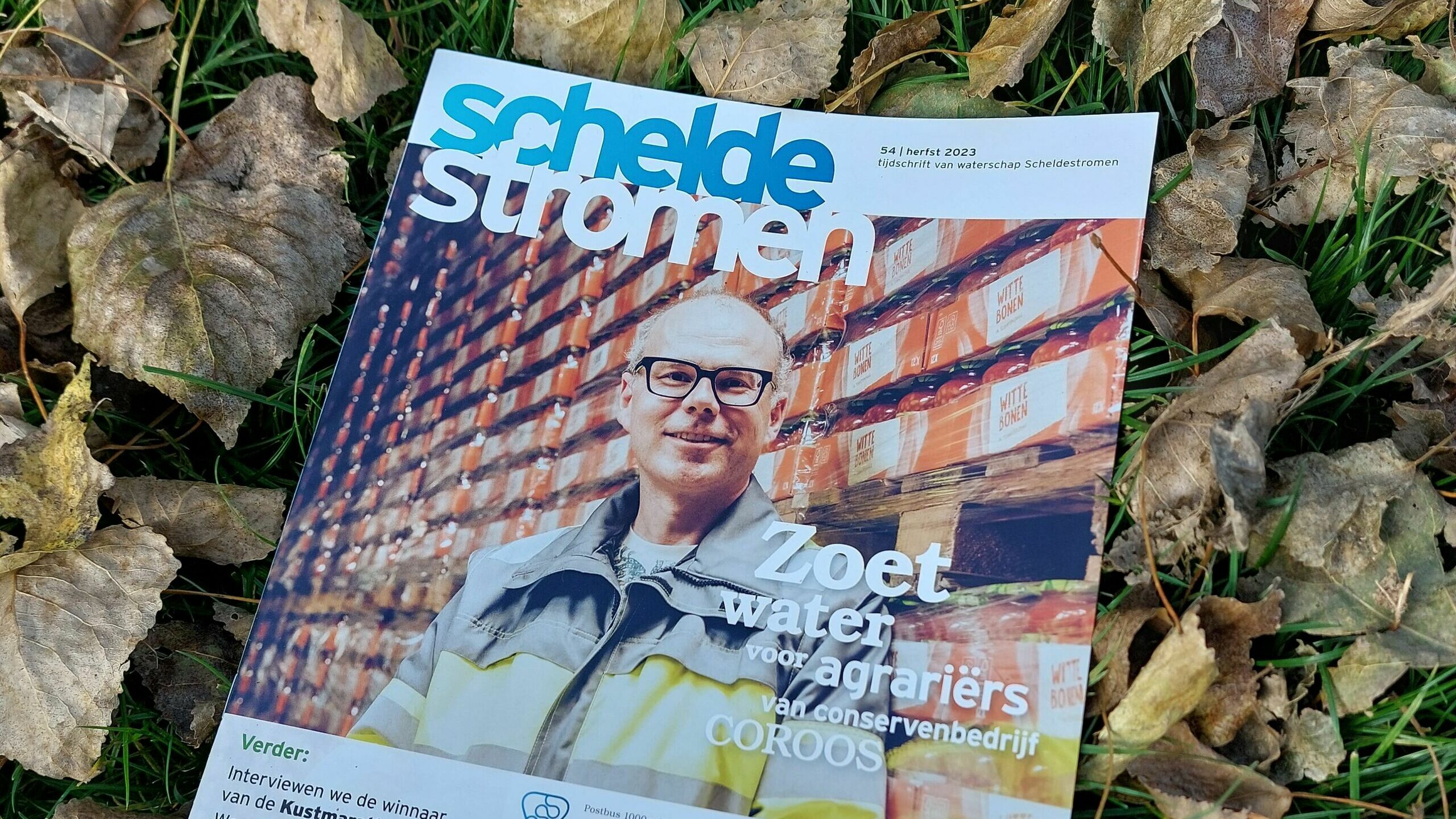 Het tijdschrift Scheldestromen herfst 2023 met herfstbladeren op de achtergrond