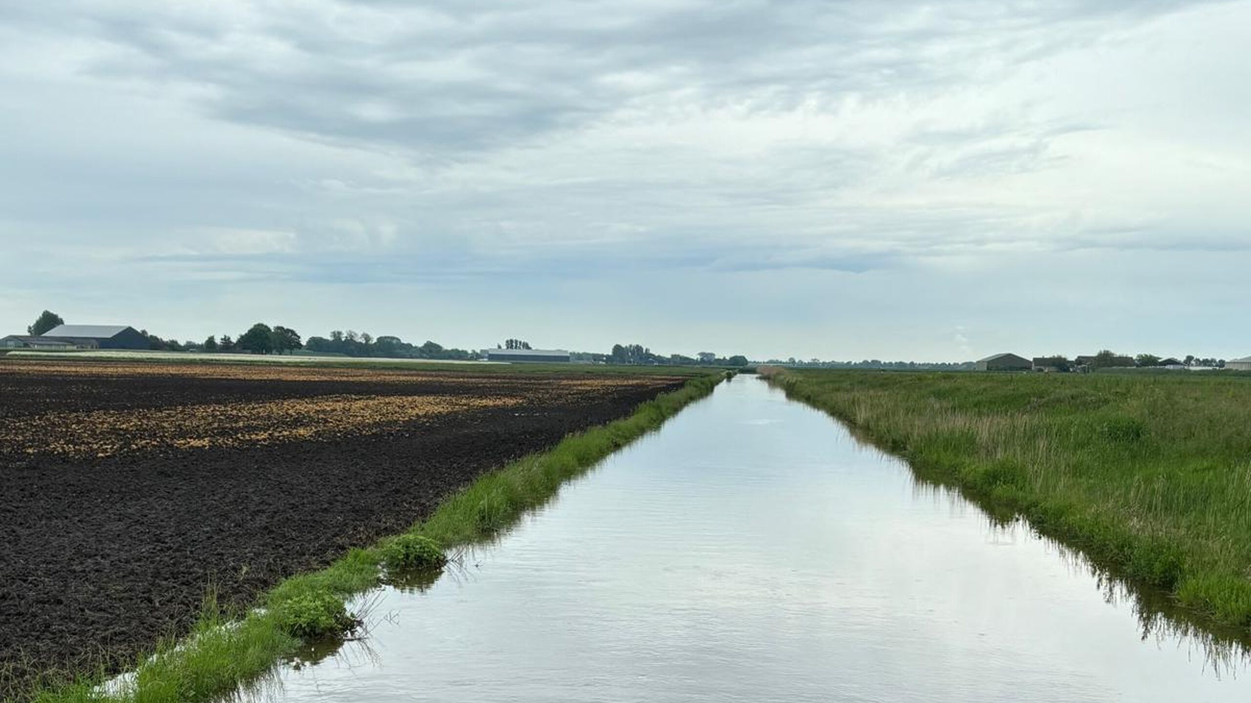 Bonneputteweg