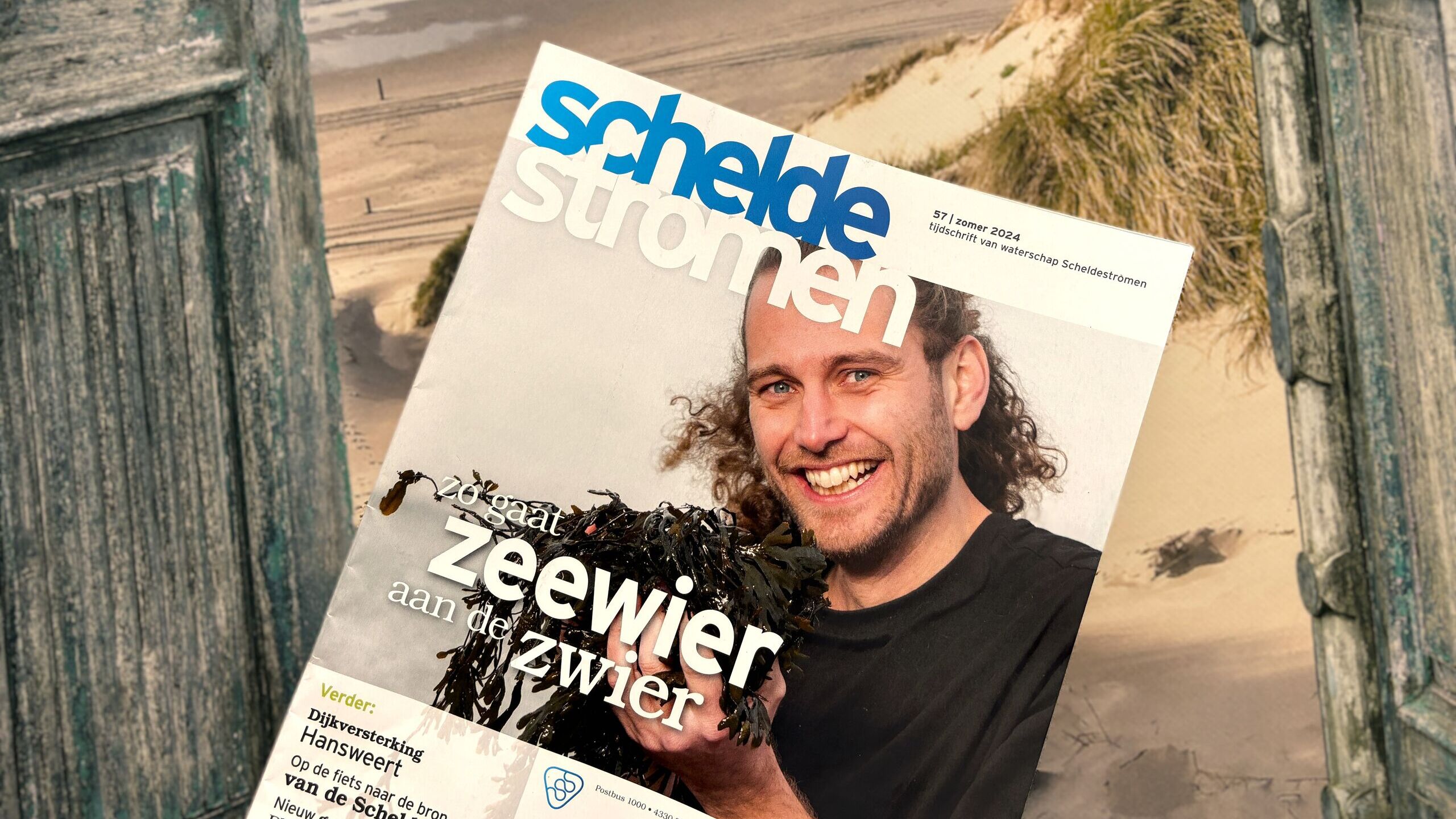 De cover van tijdschrift Scheldestromen Zomer 2024 met duin en zee op de achtergrond