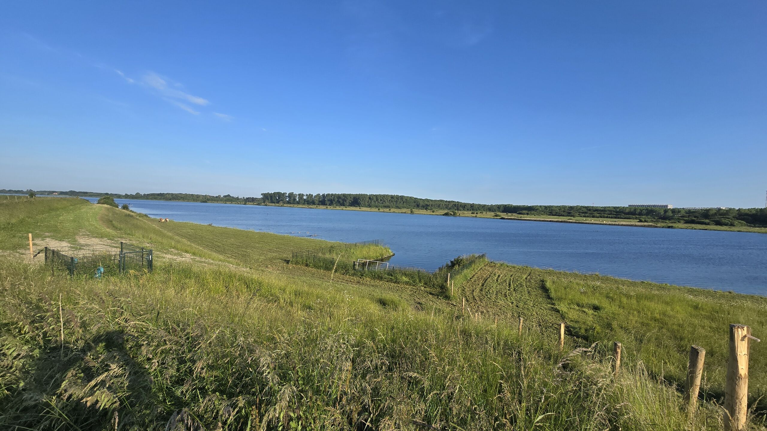 Vispassage gemaal Lovenpolder Hoek