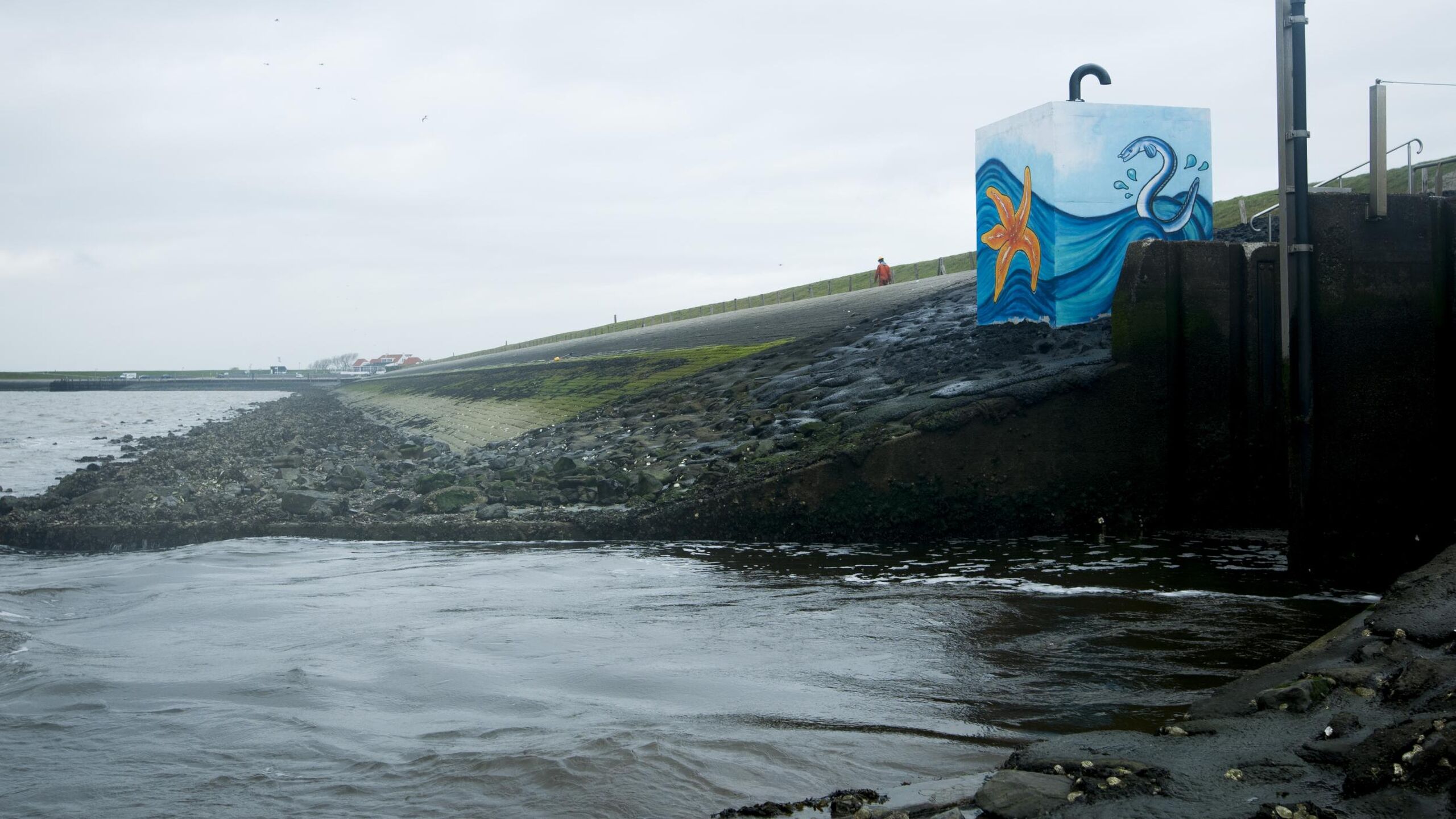 De met graffiti versierde vispassage bij Prommelsluis.
