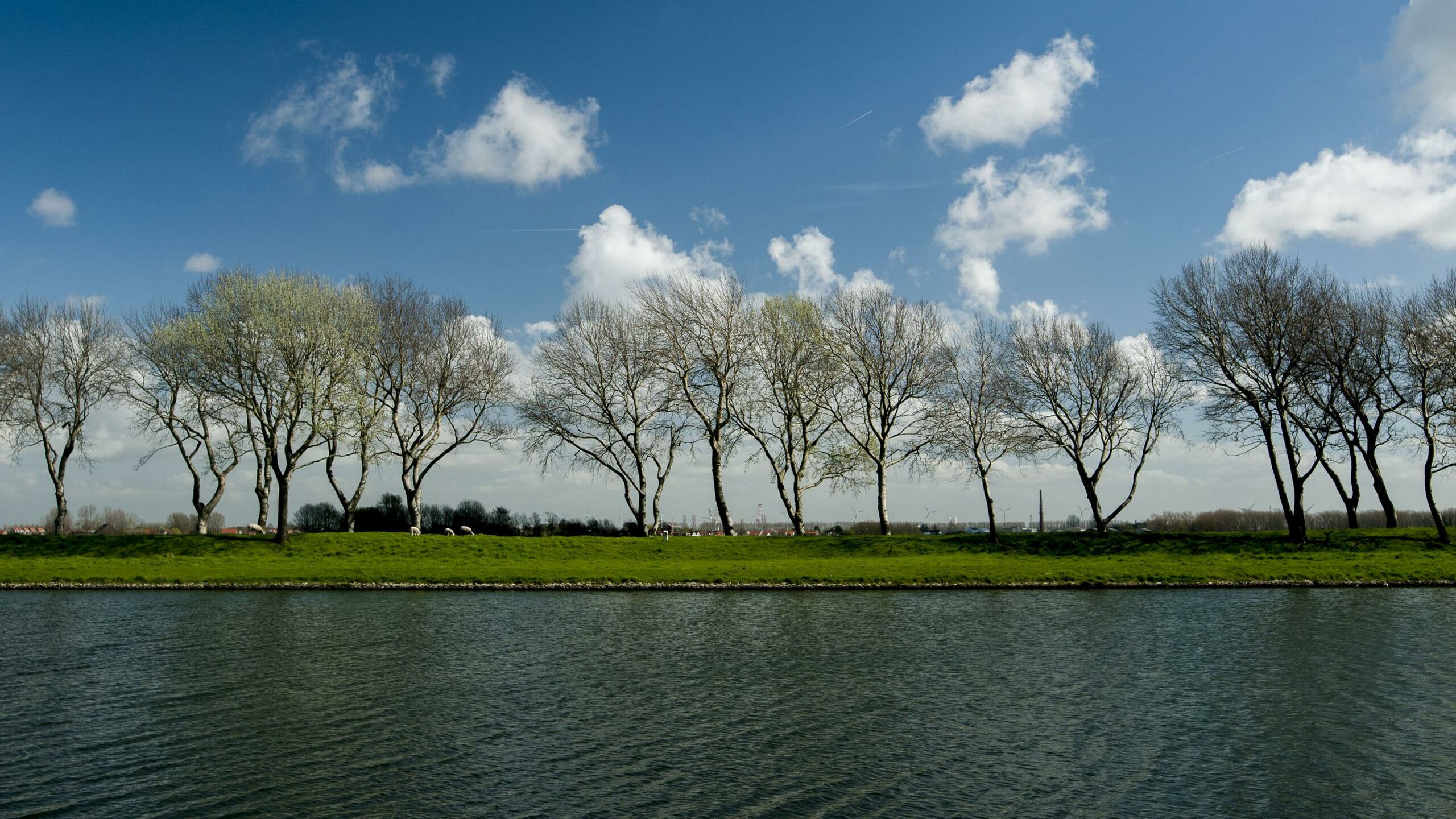 Bomen langs een kanaal.