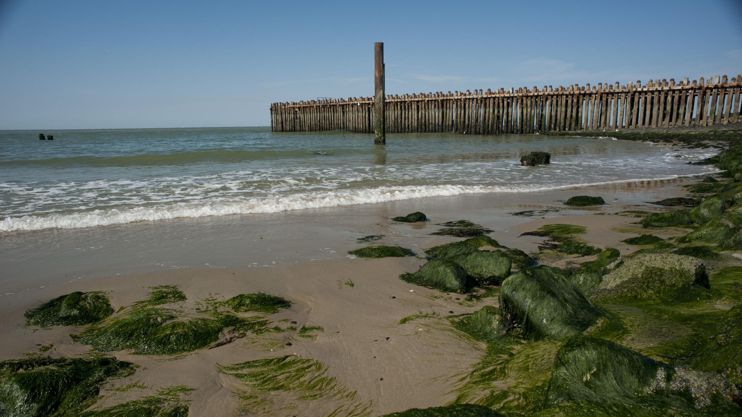 De paalhoofden van het Zuiderhoofd op het strand bij Westkapelle.