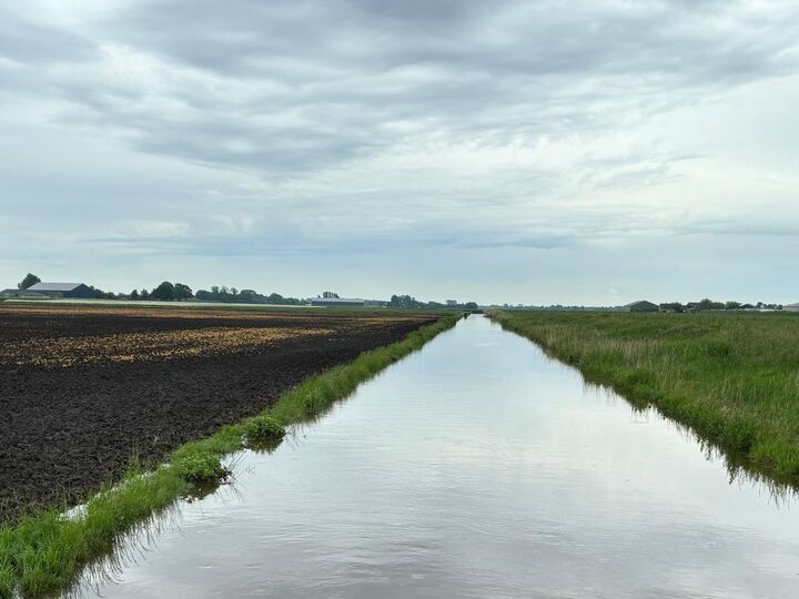 Bonneputteweg