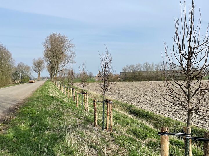 De Roterijdijk in het voorjaar van 2024.
