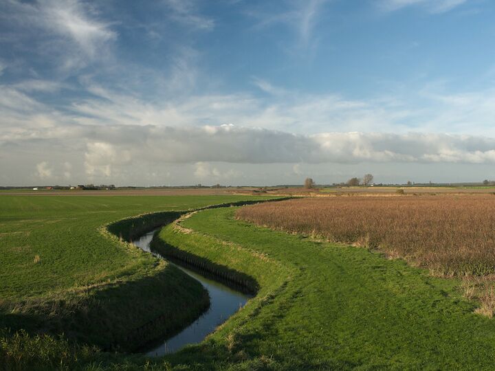 Eebn bufferstrook naast een sloot.