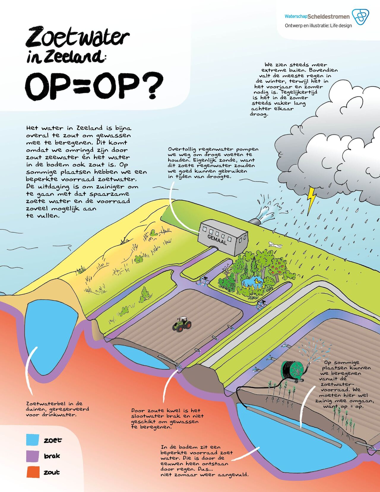 Een infographic waarin wordt uitgelegd hoe het zit met zoet water in Zeeland.