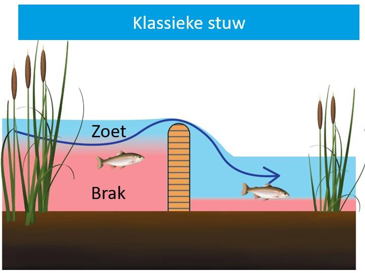 Afbeelding van een klassieke stuw.