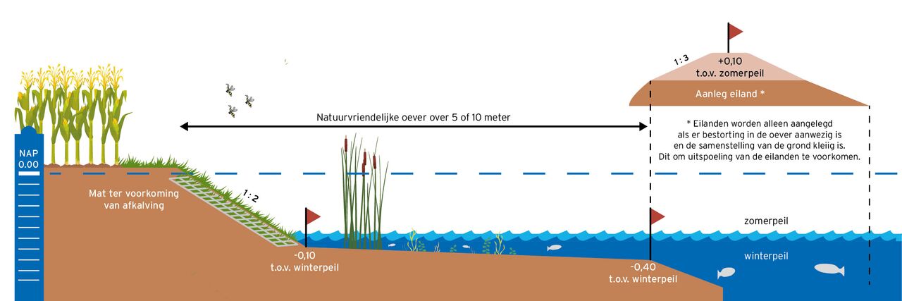 Tekening van een natuurvriendelijke oever.