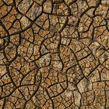 Droge grond.